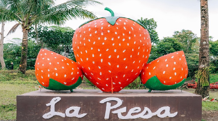 La Presa Strawberry Farm