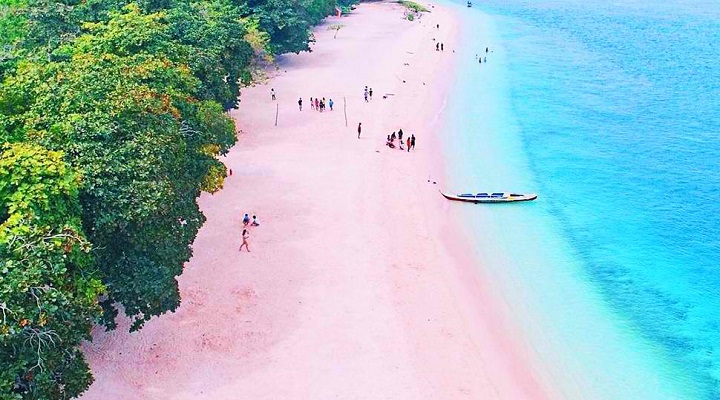 Pink 4.jpg.crdownload Sta. Cruz Island